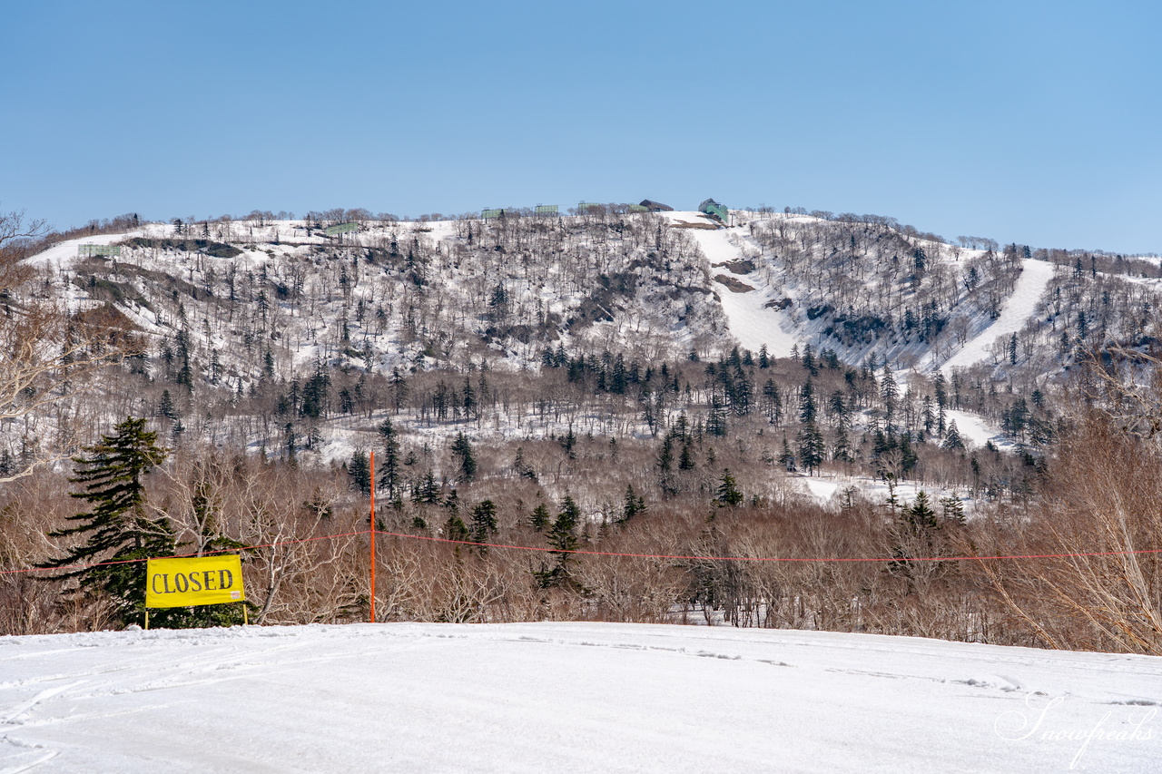 キロロリゾート｜ポカポカ陽気で絶好の春スキー日和♪こんな日は、みんなで思いっきり春雪を満喫しましょう！